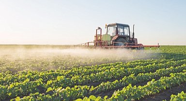 TARSİM'de en fazla buğday, arpa, ayçiçeği, fındık ve mısır sigortalandı