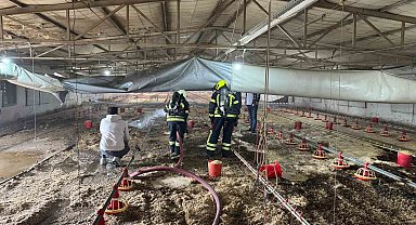 Tarsus'ta tavuk üretim merkezinde yangın