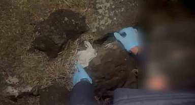 Taşın altından bin 67 adet uyuşturucu hap çıktı