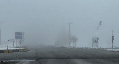 Tatvan'da sis etkili oldu