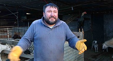 Tavuğunu tilki kapan Zavadanak Bekir'den tilkiye gülümseten sitem