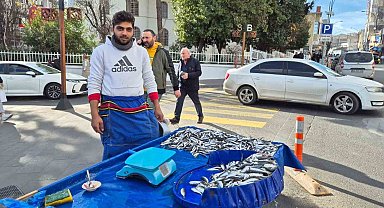 Tekirdağ'da hamsi ve istavrit 100 lira