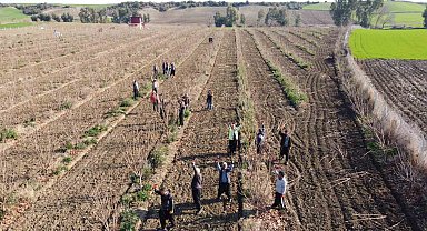 Teknoloji nasırlı ellere deva oldu