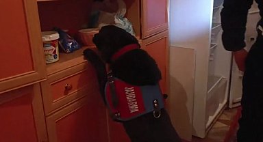 Tunceli'de organize suç örgütüne operasyon