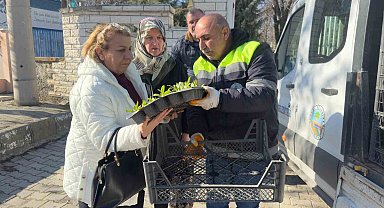 Turhal'da 3 bin 500 çiçek kabirlerle buluştu