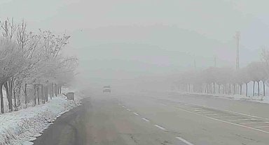 Van'da sis ulaşımı olumsuz etkiledi