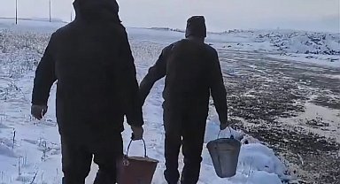 Van'da yaban hayvanları için doğaya yem bırakıldı