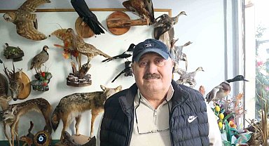 Yaban hayatını Tahnit Sanatı'yla yaşatıyor