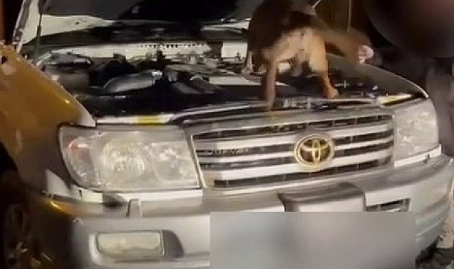 Yakıt deposundan litrelerce uyuşturucu çıktı