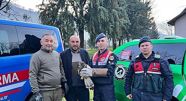 Yaralı Şahin'e HAYDİ şefkati