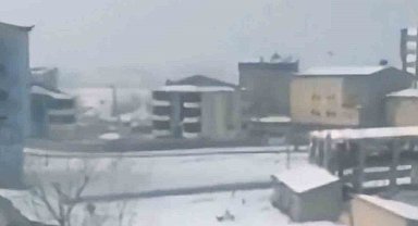 Yüksekova'da başıboş köpeklerin öğrencilere saldırı anı böyle görüntülendi