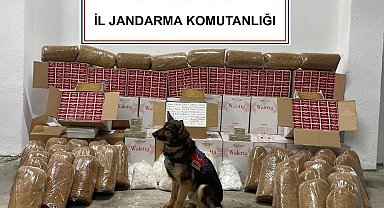 Zahir yine kaçakçıları ele verdi