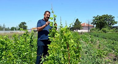 Ziraat Mühendisleri kendi çiftliklerini kurabilmesi için yeni projelerle teşvik edilmeli