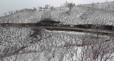 'Ordu'da etkili olan kar fındık için zararlı değil, yararlı'