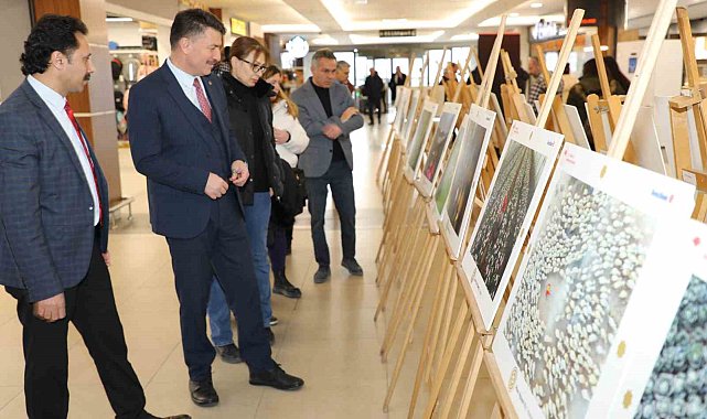 'Tarım, Orman ve İnsan Fotoğraf Sergisi' Eskişehir'de