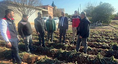 Adana İl Tarım ve Orman Müdürlüğü 3 günde 500 bin dekar alanı taradı