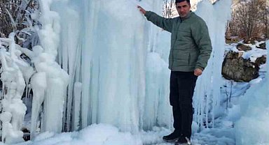 Ağaçta oluşan sarkıtlar travertenleri andırdı
