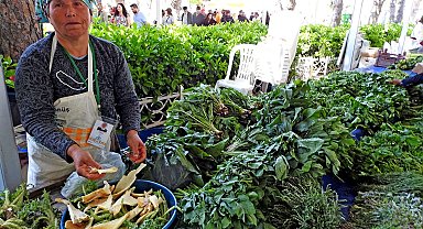 Alaçatı Ot Festivali stant başvuruları başladı