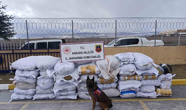 Ankara'da bir tırda 4 ton 700 kilo kaçak tütün ele geçirildi