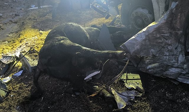 Ankara'da büyükbaş hayvan yüklü tır devrildi: 1 ölü, 1 yaralı