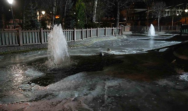 Ankara'da hava sıcaklığı eksi 10 dereceye düştü: Kuğulu Park'ın havuzu dondu