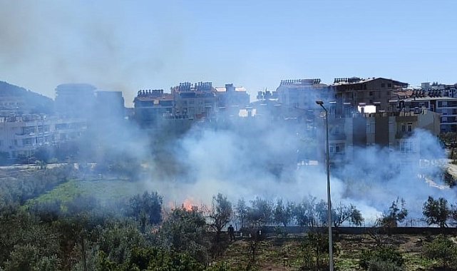 Antalya'da sazlık alandaki yangın kontrol altına alındı