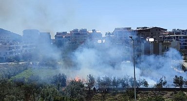 Antalya'da sazlık alandaki yangın kontrol altına alındı