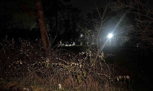 Arnavutköy'de ağaçlık alanda erkek cesedi bulundu