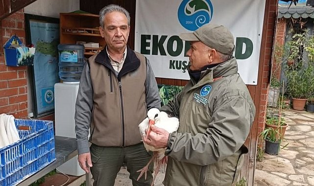 Aydın'da soğuktan etkilenen 'Garip' adlı leylek tedavi altına alındı