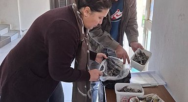 Balon balığıyla mücadele kapsamında balıkçılara bilgilendirme yapıldı
