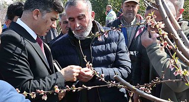 Başkan Vekili Şener, dondan zarar gören tarım arazilerinde incelemelerde bulundu