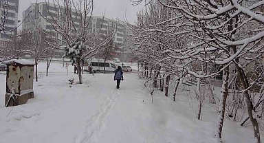 Bitlis'te kar yağışından dolayı 111 köy yolu ulaşıma kapandı