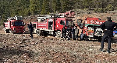 Bolu'da ormanlık alanda örtü yangını çıktı: 1 dönüm zarar gördü