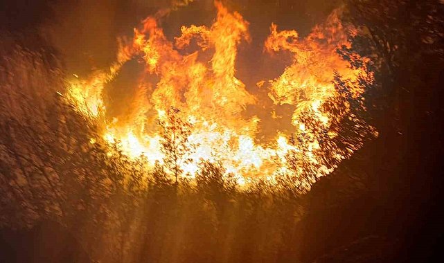 Burdur'da çıkan sazlık yangını kontrol altına alındı
