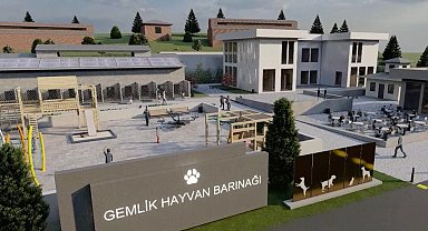 Bursa Gemlik Belediyesi patili dostlara sahip çıkıyor