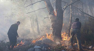 Büyükşehir itfaiyesinden orman yangınına müdahale desteği