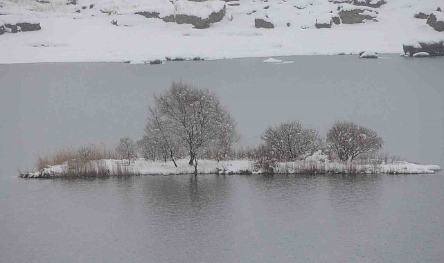 Buz tutan Çat Barajı'ndaki yüzen adalar beyaza büründü