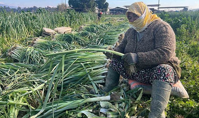 Çalışarak sağlığını koruyor ve ekonomik refahını sağlıyor