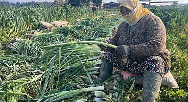 Çalışarak sağlığını koruyor ve ekonomik refahını sağlıyor