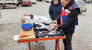 Çavdarhisar'da balık satış yeri denetimleri