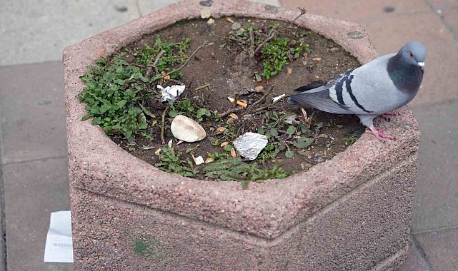 Çevreyi kirletenlere 2 bin 953 TL idari para cezası uygulayacak