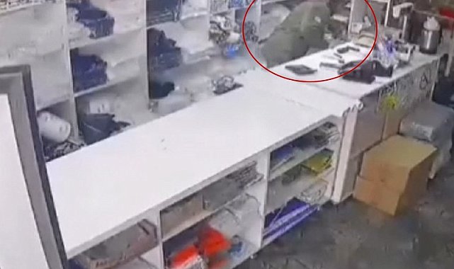 Cezaevinden yeni çıktı, yine hırsızlık yaptı