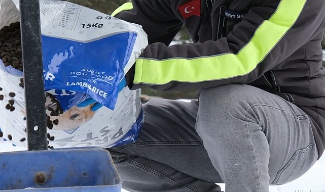 Çorum Belediyesinden doğadaki canlılara şefkat eli