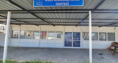 Davutlar Mahallesi'ne kedi kısırlaştırma merkezi açılıyor