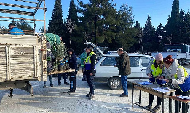 Denizli Büyükşehirden Buldanlı üreticilere zeytin fidanı desteği