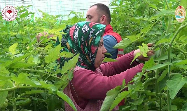 Denizlili çiftçiye 1 milyar 241 milyonluk can suyu