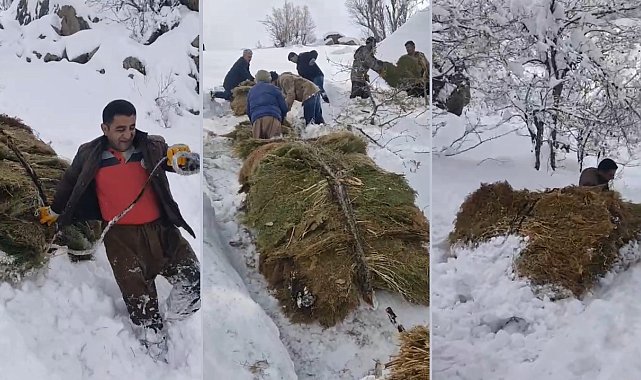 Derecik'te çiftçilerin zorlu kış mesaisi: 3 bin rakımdan otları kızaklarla indirdiler