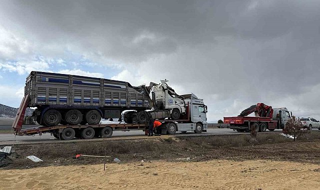 Devrilen tırda 25 ton büyükbaş hayvan yeni çevreye saçıldı