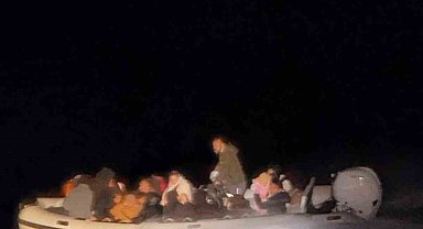 Didim'de 20 düzensiz göçmen yakalandı: 1 gözaltı