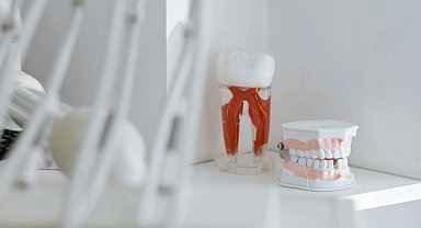 Diş hekimleri de 14 Şubat'ta iş bırakıyor! Mesleklerine olan sevgilerini eylemle gösterecekler!